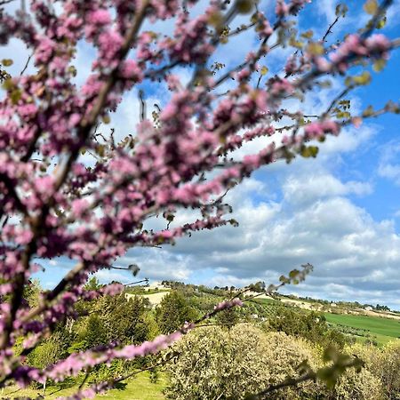 Agriturismo La Contea Senigallia Villa San Gaudenzio ภายนอก รูปภาพ