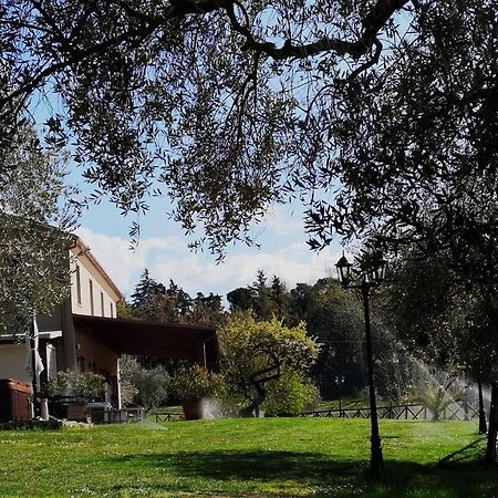 Agriturismo La Contea Senigallia Villa San Gaudenzio ภายนอก รูปภาพ