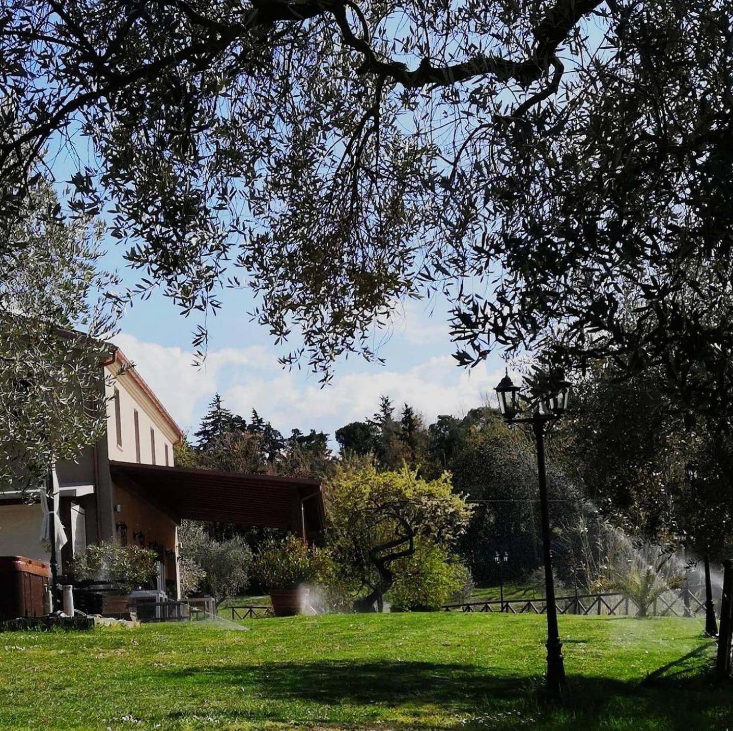 Agriturismo La Contea Senigallia Villa San Gaudenzio ภายนอก รูปภาพ